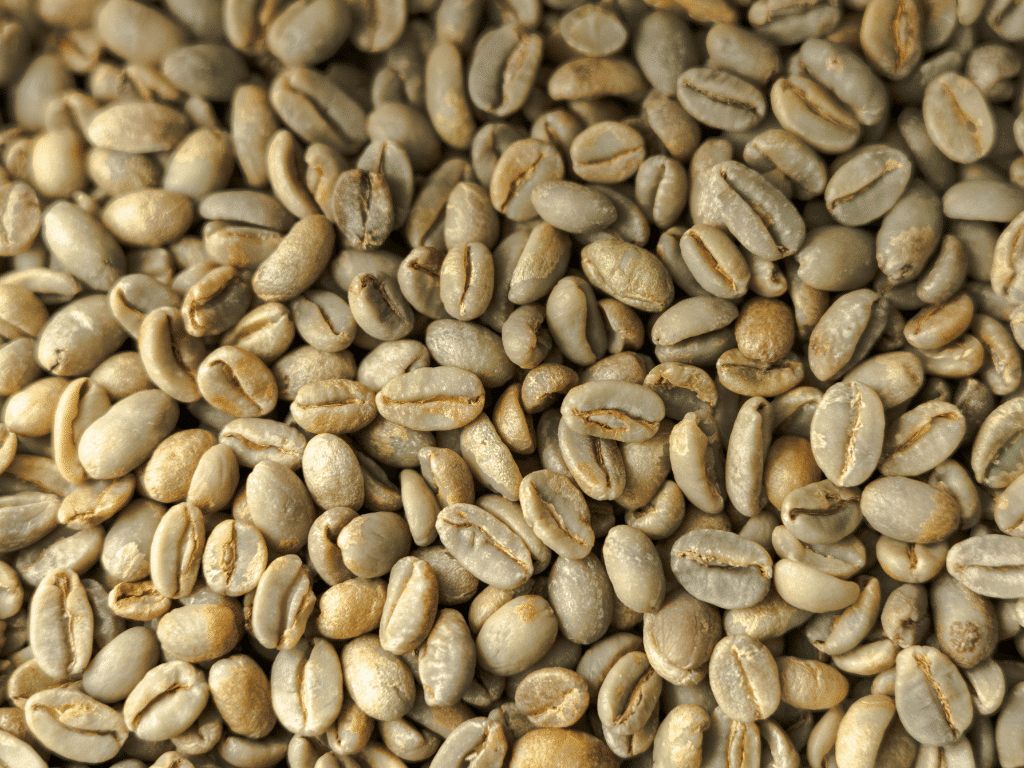 Green Beans. Photo Credit: Kaffelogic