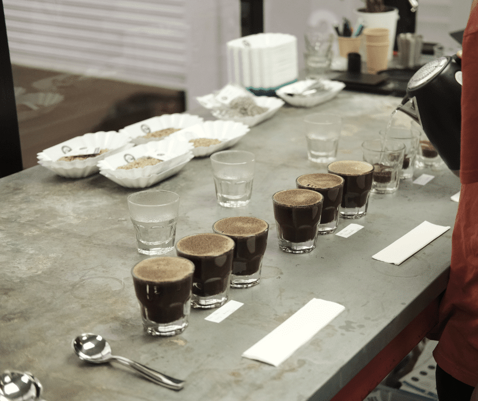 Cupping new season coffee as part of QC