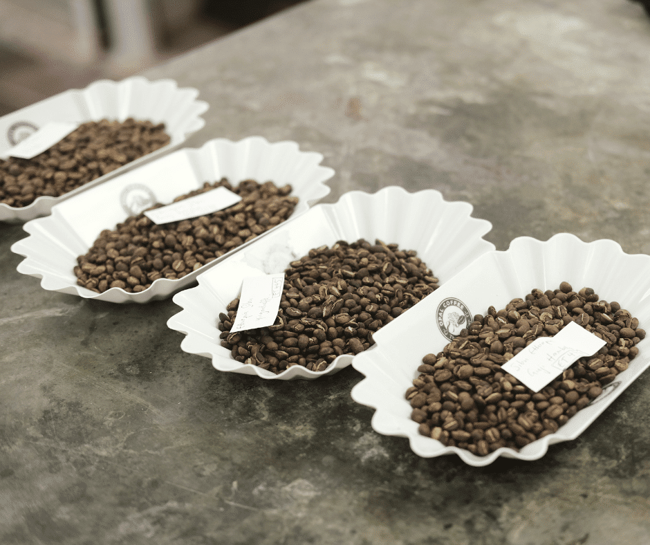 Roasted samples waiting to be cupped and assessed