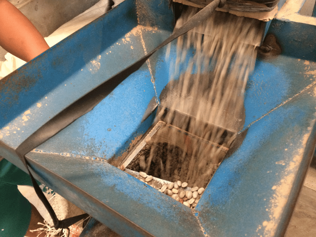 Wet hulled coffee processing in Aceh, Indonesia