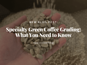 Specialty Green Coffee Grading_ What You Need to Know