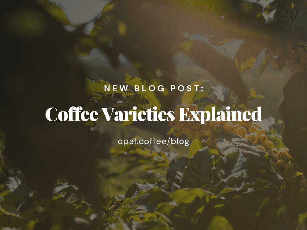 Coffee Varieties Explained