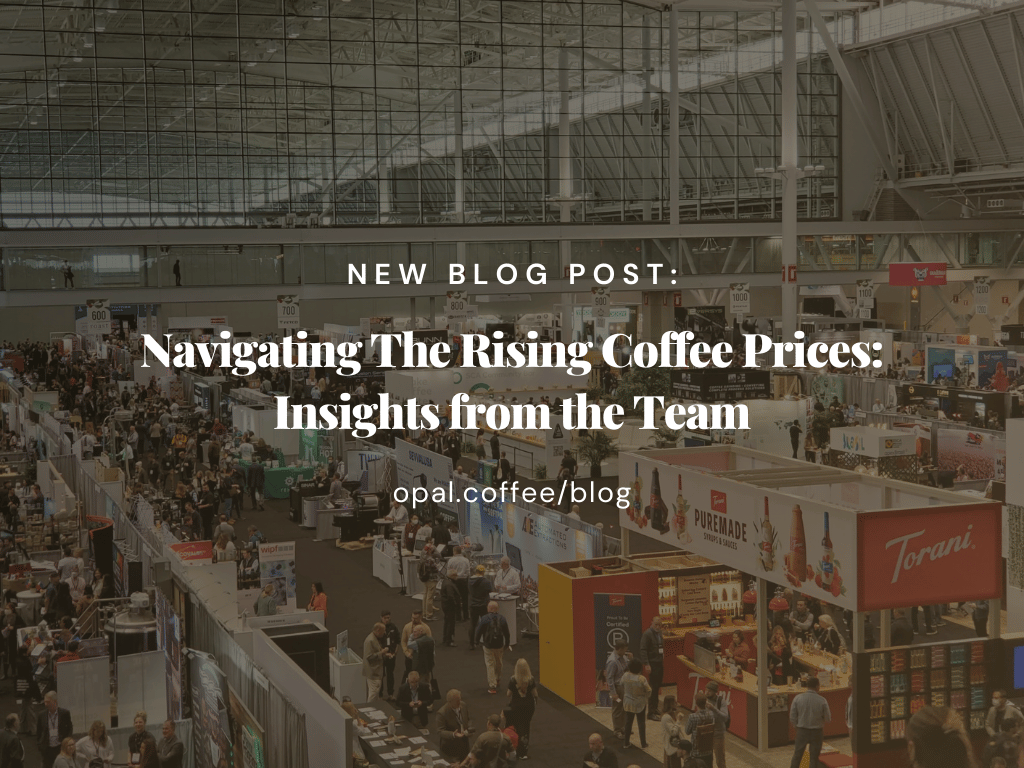 Navigating The Rising Coffee Prices Insights from the Team