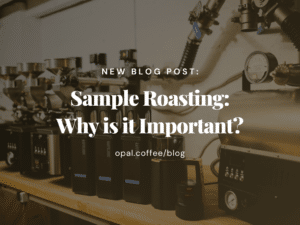 Sample Roasting: Why is it Important