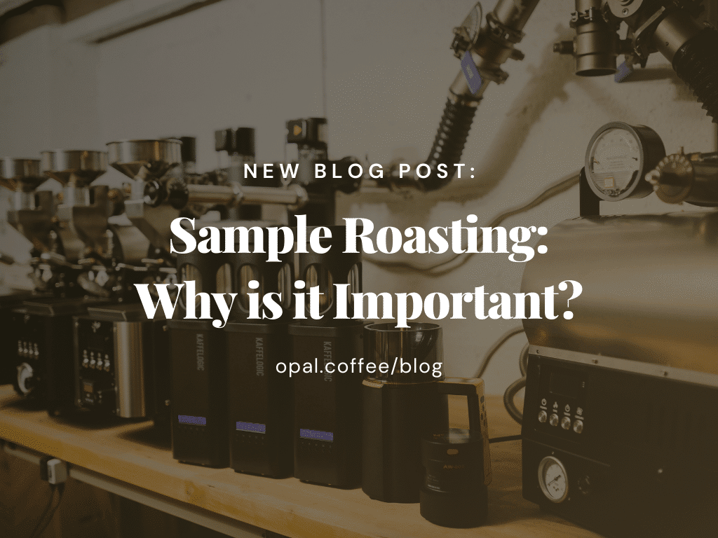 Sample Roasting: Why is it Important