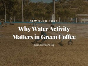 Why Water Activity Matters in Green Coffee