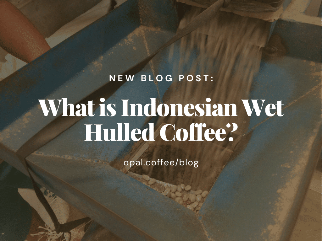 What-is-Indonesian-Wet-Hulled-Coffee