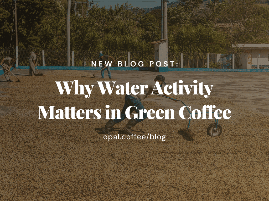 Why-Water-Activity-Matters-in-Green-Coffee