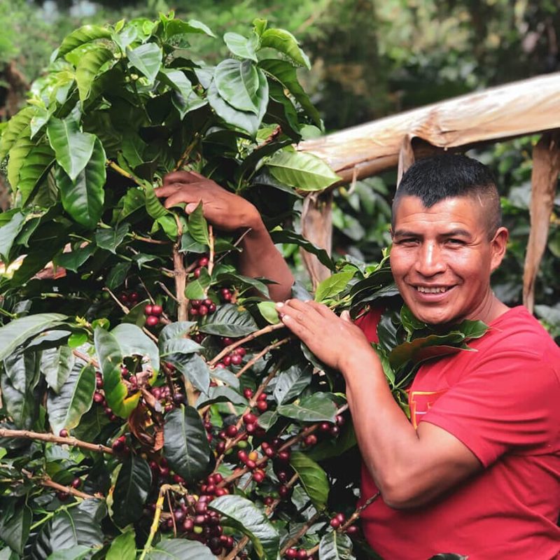 Local coffee farmer at Colombia - Opal Coffee